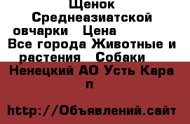 Щенок Среднеазиатской овчарки › Цена ­ 35 000 - Все города Животные и растения » Собаки   . Ненецкий АО,Усть-Кара п.